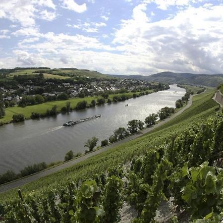 Weingut Fehres Apartment Браунеберг Екстериор снимка